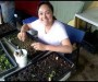 The author transplanting seedlings into bigger soil blocks