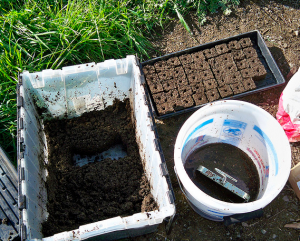 Making Soil Blocks
